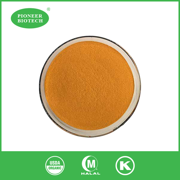 organic curcumin powder